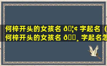 何梓开头的女孩名 🦢 字起名（何梓开头的女孩名 🌸 字起名怎么样）